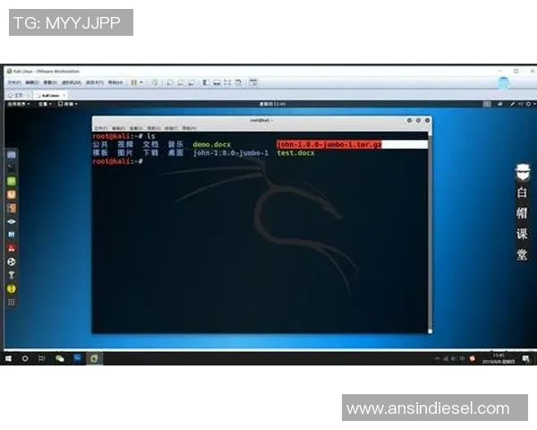 深度分析FPX边路渗透战术的核心理念与实战应用技巧 深度分析FPX边路渗透战术的核心理念与实战应用技巧
