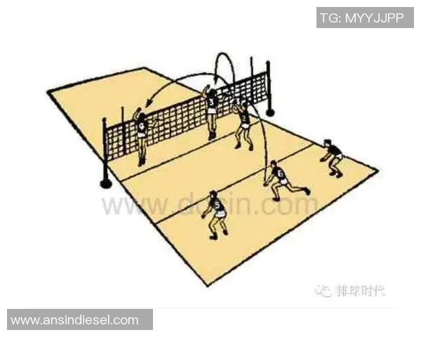 重庆排球队中路突破的战术解析与技术深度剖析 重庆排球队中路突破的战术解析与技术深度剖析