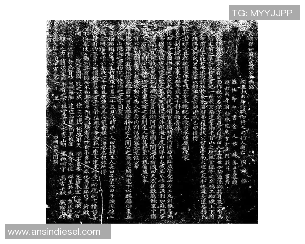 南京排球队防守革新之路探索与实践的深度剖析与启示 南京排球队防守革新之路探索与实践的深度剖析与启示