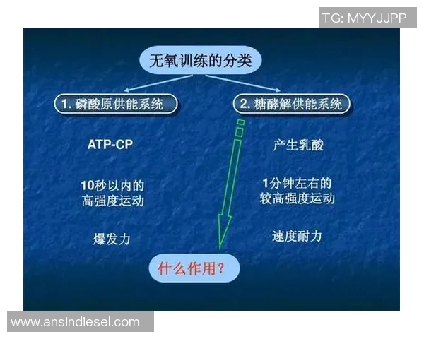 南京羽毛球队整体压制战术解析与实战应用探讨