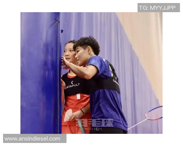 成都羽毛球队与南京羽毛球队赛后技术分析与战术复盘探讨 成都羽毛球队与南京羽毛球队赛后技术分析与战术复盘探讨