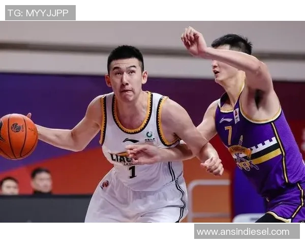 辽宁男篮与山东队精彩对决直播全程回顾与赛后分析