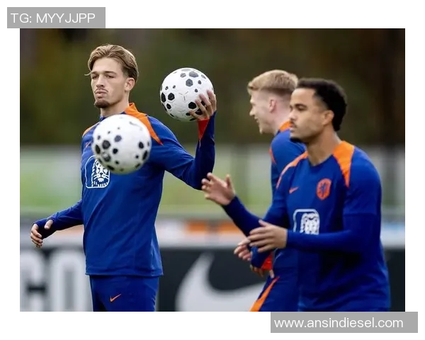 白俄罗斯与荷兰足球对决精彩回顾与赛后分析