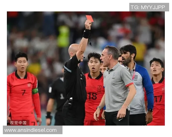 葡萄牙男排迎战巴西队力争在国际赛场上取得佳绩