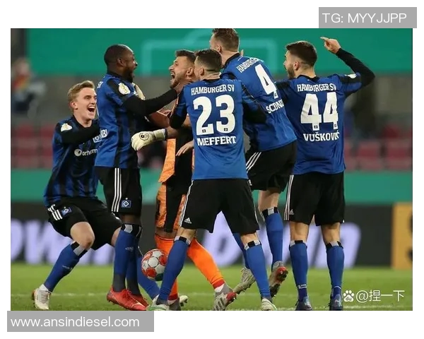 2019年布里斯狮与惠灵顿精彩对决回顾与分析