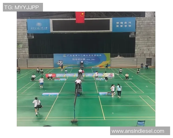 成都羽毛球队实力对比深度解析与未来发展展望MBA