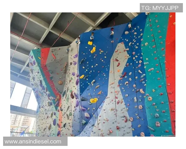 成都攀岩队团队协作能力大幅提升再创佳绩引领攀岩新风潮MBA 成都攀岩队团队协作能力大幅提升再创佳绩引领攀岩新风潮MBA