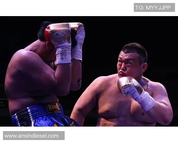 拳王海耶与贝卢的巅峰对决谁将成为新的拳坛传奇 拳王海耶与贝卢的巅峰对决谁将成为新的拳坛传奇