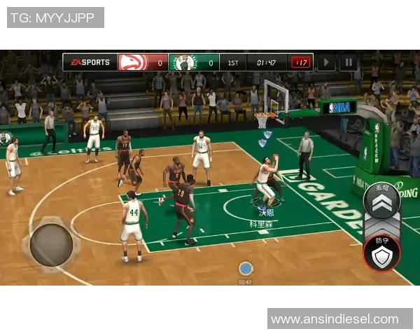 篮球明星盐h鸡的传奇之路与背后的奋斗故事揭秘